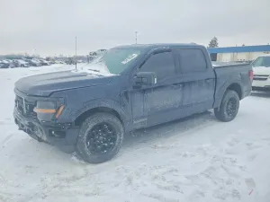 2025 FORD All Models