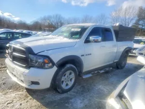 2010 DODGE RAM 1500
