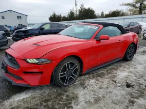 2021 FORD ALL Models