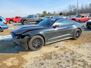 2015 FORD ALL Models