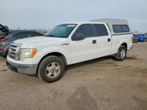 2009 FORD F-150