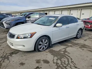 2010 HONDA ACCORD