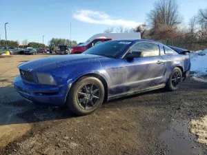 2005 FORD ALL Models