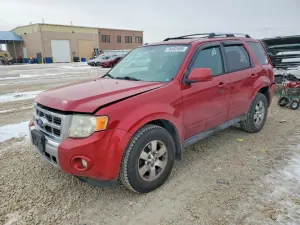 2010 FORD ESCAPE