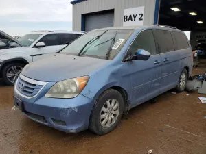 2010 HONDA All Models