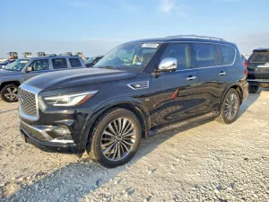 2019 INFINITI QX80
