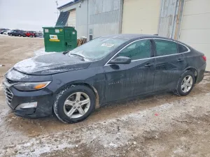 2019 CHEVROLET MALIBU