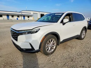 2025 HONDA CRV