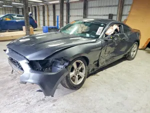 2017 FORD ALL Models