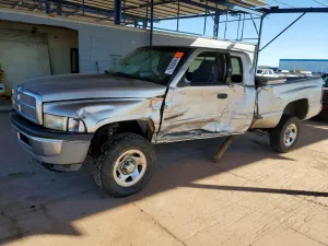 2001 DODGE All Models