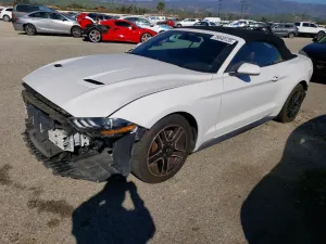 2021 FORD ALL Models