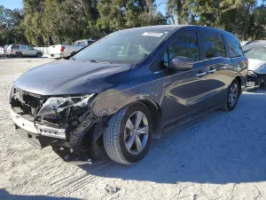 2019 HONDA All Models