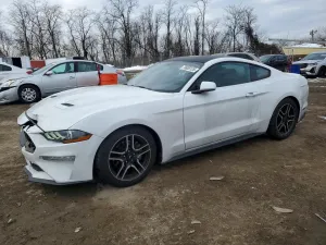 2020 FORD ALL Models