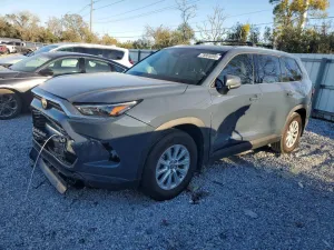 2025 TOYOTA GRAND HIGH