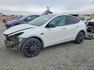 2020 TESLA MODEL Y