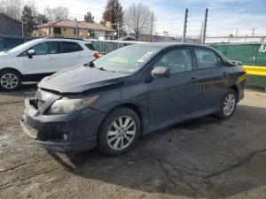 2010 TOYOTA COROLLA