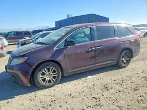 2011 HONDA All Models