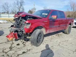 2013 FORD F-150