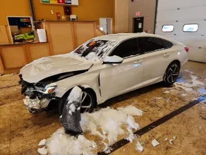 2019 HONDA ACCORD