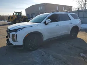 2025 HYUNDAI PALISADE X