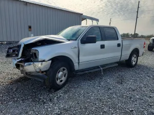 2006 FORD F-150
