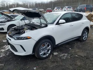 2024 DODGE HORNET R/T