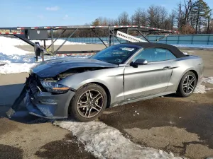 2021 FORD ALL Models