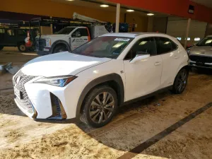 2021 LEXUS UX 250H