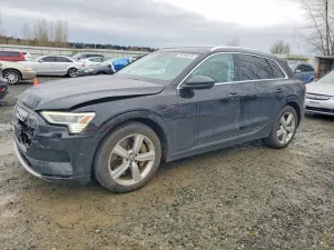 2019 AUDI E-TRON