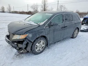 2014 HONDA All Models