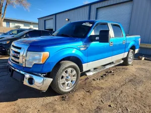2009 FORD F-150