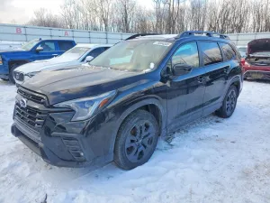 2025 SUBARU ASCENT ONY