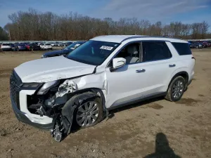 2024 HYUNDAI PALISADE