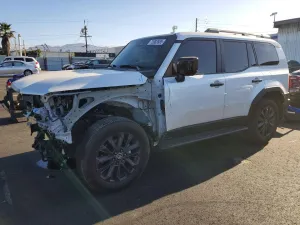 2024 TOYOTA LAND CRUIS