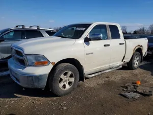 2009 DODGE All Models