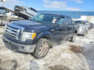2009 FORD F-150