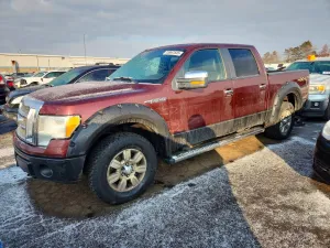 2010 FORD F150