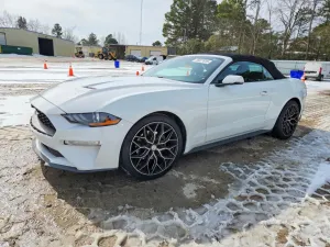 2019 FORD ALL Models