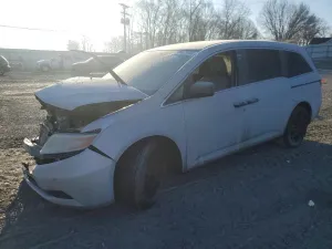 2013 HONDA All Models