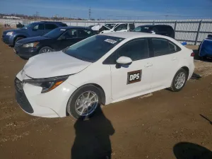2023 TOYOTA COROLLA