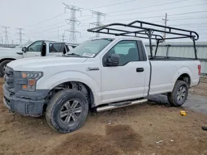 2016 FORD All Models