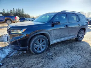 2024 HONDA PILOT