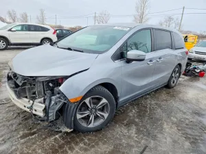 2020 HONDA All Models