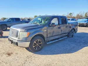 2010 FORD F-150