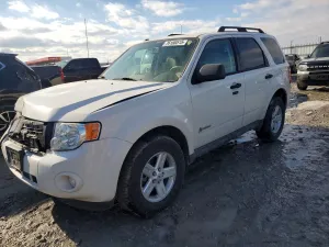2010 FORD ESCAPE