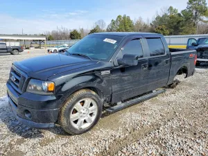 2007 FORD F-150