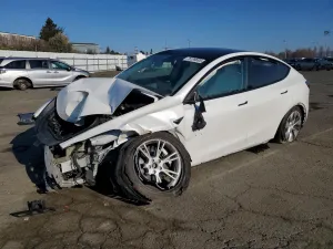 2021 TESLA MODEL Y