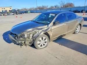 2010 HONDA ACCORD