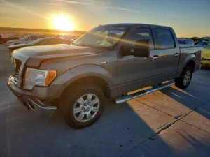 2010 FORD F-150