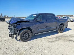 2025 TOYOTA TUNDRA